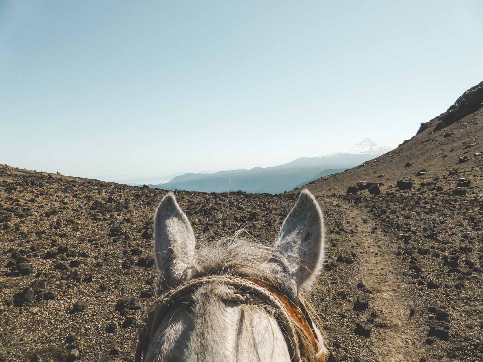 Reiterreise mit Rancho Carhuello in Chile