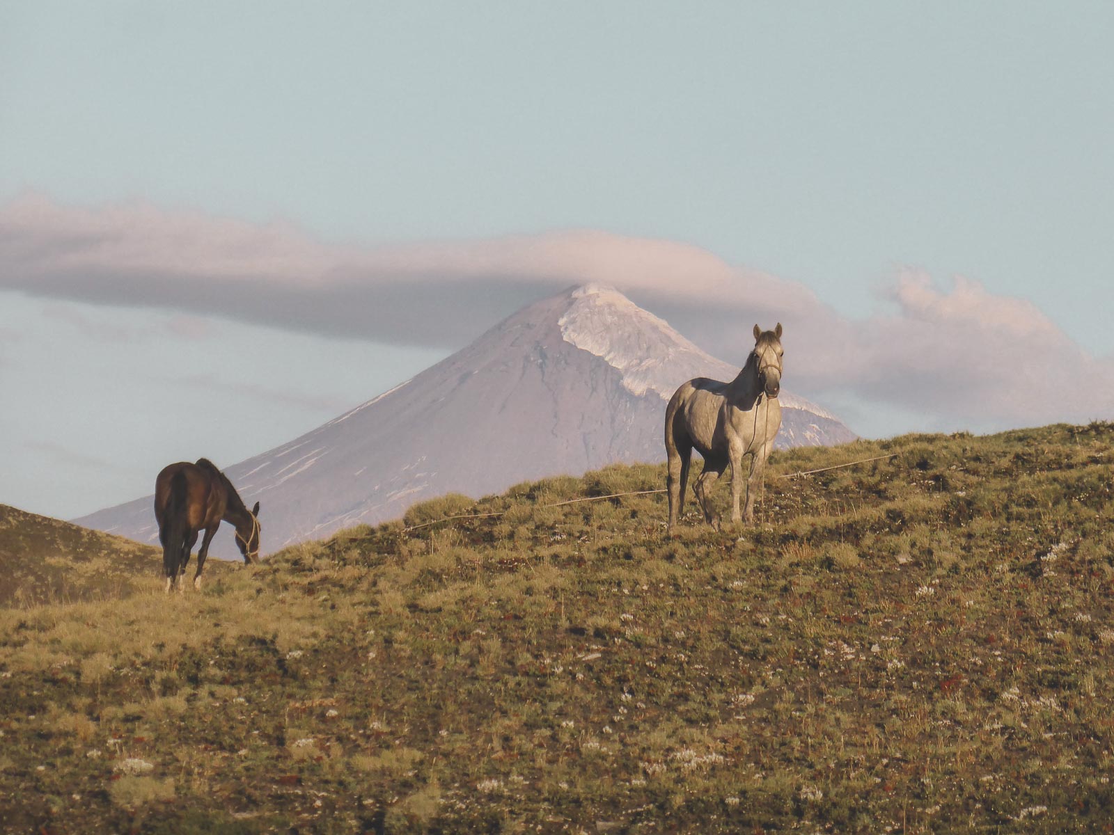 Trailride vor dem Lanin Vulkan an der chilenisch argentinischen Grenze